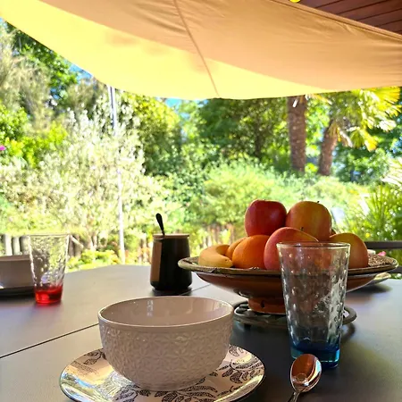 Coronilles - Piscine & Jardin Arbore *
