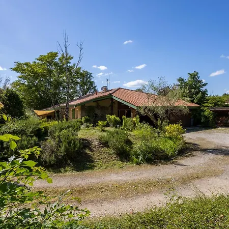 Coronilles - Piscine & Jardin Arbore Villa *