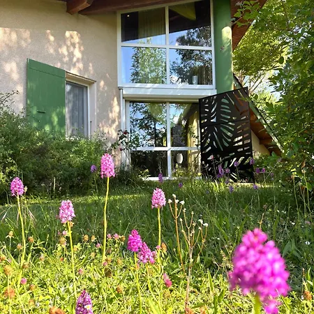 Coronilles - Piscine & Jardin Arbore