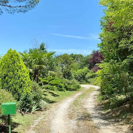 Coronilles - Piscine & Jardin Arbore