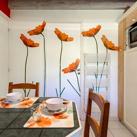 Coronilles - Piscine & Jardin Arbore